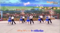 2016最新广场舞《相思草》双人舞含教学