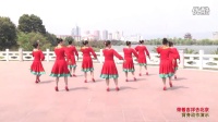 广场舞 带着吉祥去北京 王江（背面）