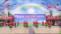 心语广场舞《美丽中国》参赛版