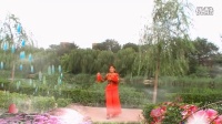广场舞、舞动人生-河北文安赵村森林公园舞蹈队--6