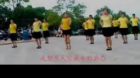 广场舞视频教程穿心村广场舞 最炫民族风56步_标清
