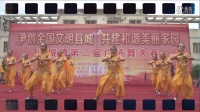 涛城镇第二届广场舞比赛之合溪村代表队——《吉米阿佳》