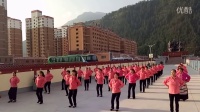 迭部县广场舞《敬祝领袖毛主席万寿无疆》开心舞蹈队。