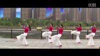 《花月夜》 简单广场舞教学 广场舞视频