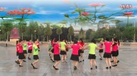 广场舞（再唱山歌给党听）孟州市冰雪绽放广场舞团队演示！