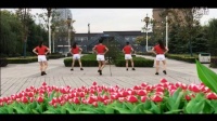 《水手》 简单广场舞教学 广场舞视频
