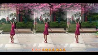 《DJ红梅赞》 简单广场舞教学 广场舞视频