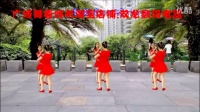 广晋广场舞《别叫我宝贝》双人对跳：编舞：听语_标清