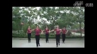 快乐阿拉蕾  广场舞2016最新广场舞蹈视频大全