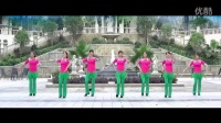 《梦草原》 简单广场舞教学 广场舞视频