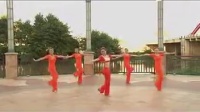 广场舞坐上火车去拉萨_广场舞视频在线观看 - 糖豆网_标清