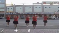 美丽茹花广场舞为你等待(1)rv02016年刚出的广场舞