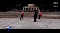 排舞-走进你的世界及教学演示vj02016年刚出的广场舞