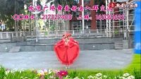 深圳山茶广场舞《美丽中国》原创舞台版