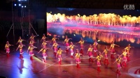 2016年广州、清远、新丰三地中老年广场舞邀请赛（雅之韵）队