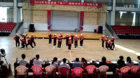 2015年海南省屯昌县庆“五一”国际劳动节广场舞大赛
农博城代表队获得第一名