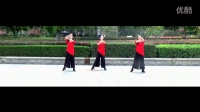 《假如爱有天意》 简单广场舞教学 广场舞视频