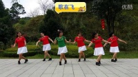 广州新盛广场舞；歌在飞【正面+背面】