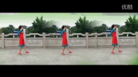 《马头琴的忧伤》 简单广场舞教学 广场舞视频