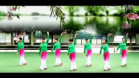 《梅花泪》 简单广场舞教学 广场舞视频