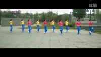 《东西南北风》 简单广场舞教学 广场舞视频