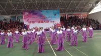 第十一届中国艺术节广场舞大赛最佳表演奖获得者双伙场舞蹈队