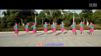 《春暖花开回故乡》 简单广场舞教学 广场舞视频