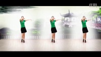 《小花DJ》 简单广场舞教学 广场舞视频