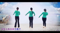《纳木恋人》 简单广场舞教学 广场舞视频