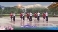 双人广场舞视频大全《春雨恋春风》附分解 双人_标清