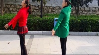 蝶舞仙孑广场舞    美丽的中国   2人习舞（2016年11月3日）