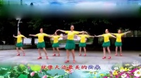 小苹果儿童舞蹈伤不起广场舞(2)