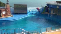 春晨健身队：《第六届中国青儿广场舞大联盟》回顾之五：海豚馆，看海豚。(香港)