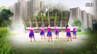 杨丽萍广场舞《我爱的姑娘在草原》原创民族健身舞