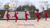 杨丽萍广场舞《大圣贺猴年》，秧歌舞风格