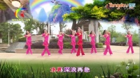 杨丽萍广场舞《百年好合》民族健身舞