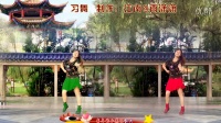 广晋广场舞《小花》正背面演示  实景衣服变颜色