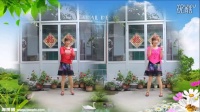 杨丽萍广场舞大全最炫民族风儿童舞蹈