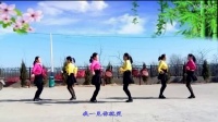 大荔凤玲广场舞《一见你就笑》原创32步双人对跳含教学