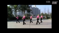 广场舞视频大全 广场舞荷塘月色16步-中老年健身舞