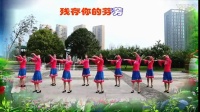 重庆葉子广场舞（原创）美丽的雪山姑娘，附分解与背面演示
