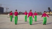 舞动旋律2007广场舞【小苹果】含背面分解动作教学