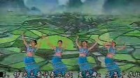 傣族舞 有一个美丽的地方((高清)