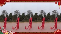 苏北君子兰广场舞系列--262--红红热闹闹