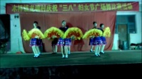 广西贵港市港南区木梓镇龙塘村庆祝三八妇女节广场舞