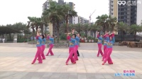 海南丽芳广场舞 爱在海南 表演（第二版）