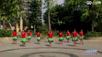 广场舞教学视频（蔡妍民族舞演示）小苹果筷子兄弟现场版