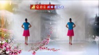 红领巾飘舞广场舞《新天仙配》简单32步  编舞：武阿哥