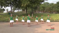 踏浪舞蹈视频广场舞教学十六步