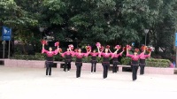 艾尚香香姐妹广场舞2017年最新原创《活宝》